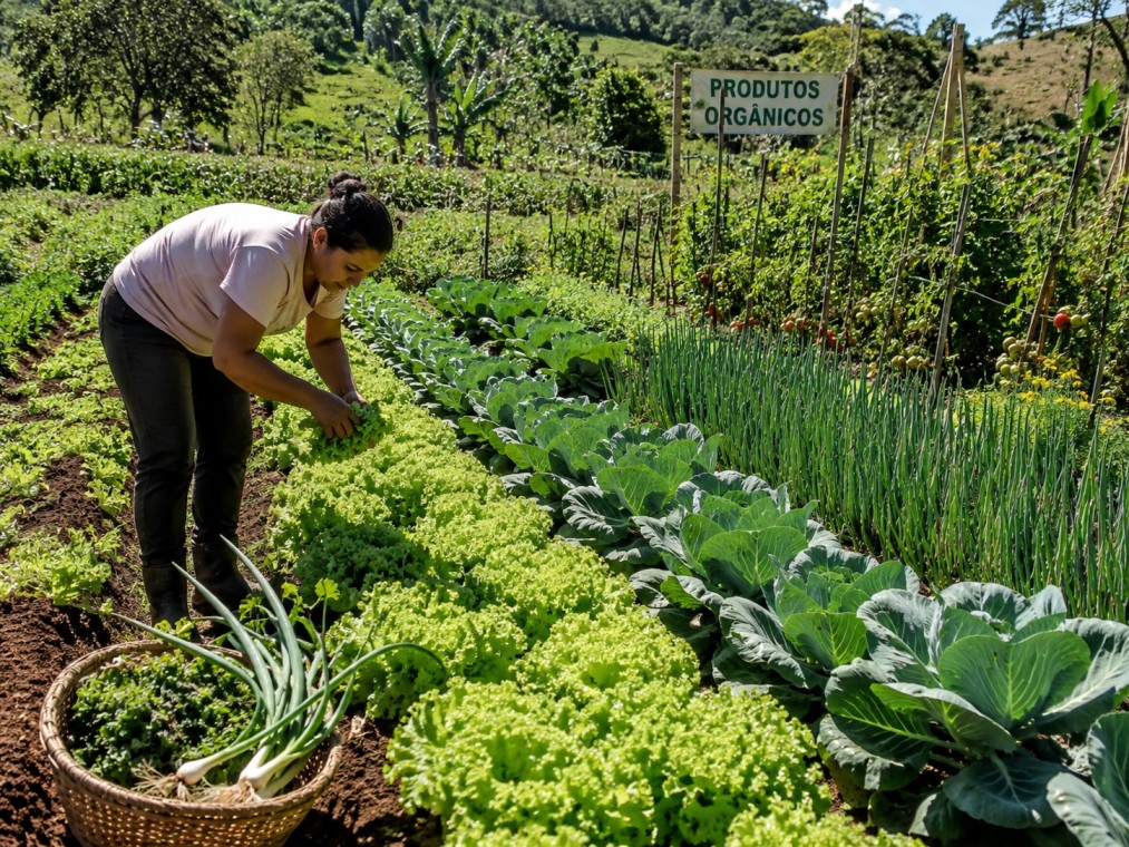 produzindo orgânicos
